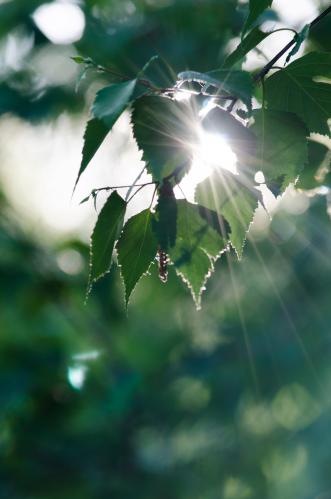 ���� ������ ������.