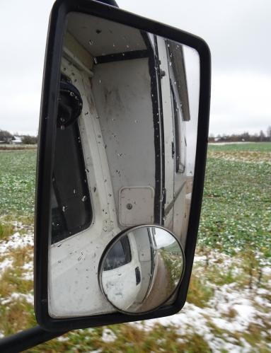 ���� ����