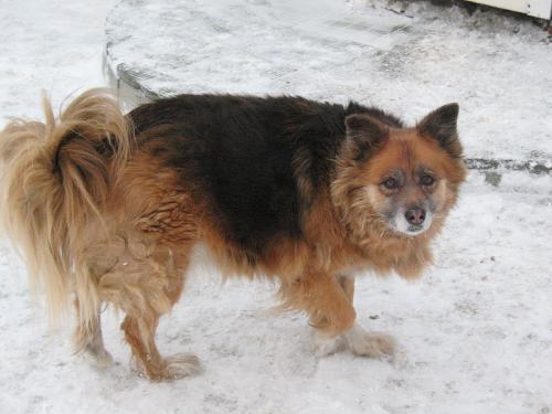 ����,������