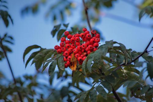 �� ���� ����. 