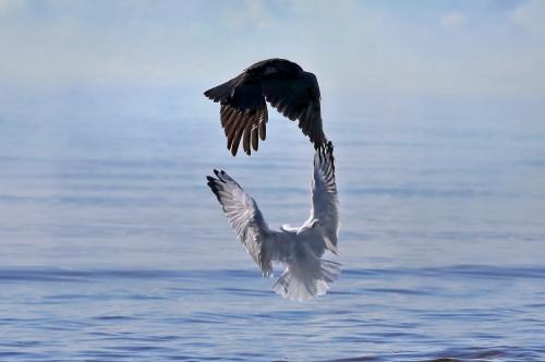 ���������������. 