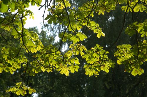 ������ ���������� � ������