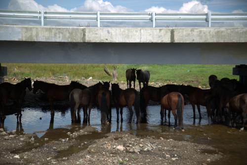 ����� �������