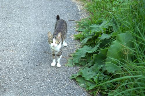 �������