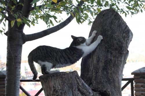 ������������