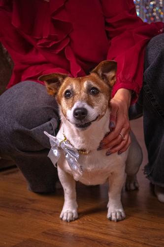 ������� �� ���������)