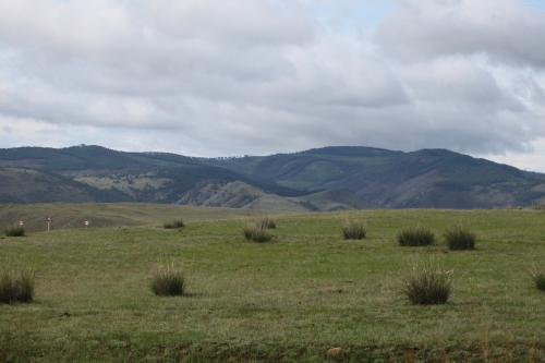 ������ ������  �� �������