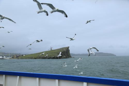 ����������� �����