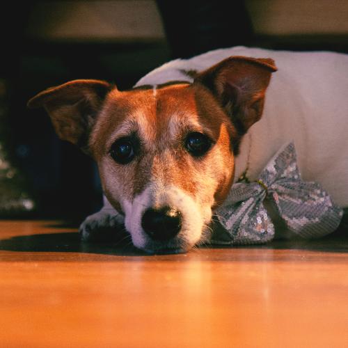 ����������� � �� ����� ���������...