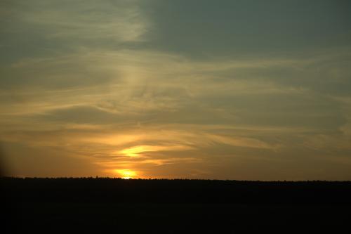 ����� ������