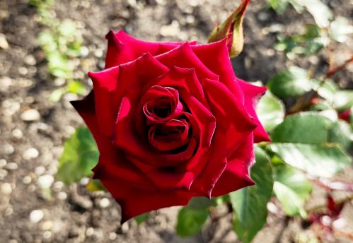 ����������