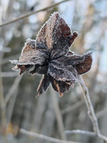 ������ � ���� 