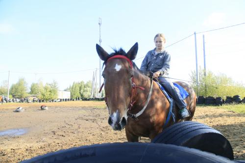 ���������