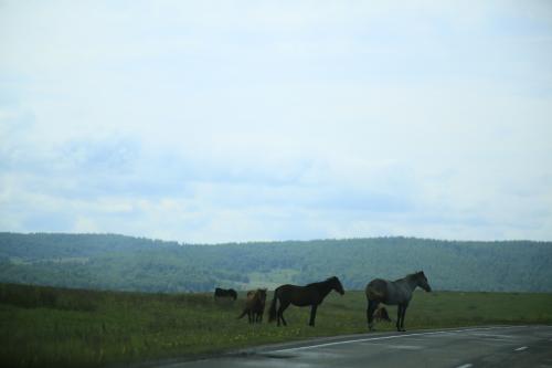 ������ �� ������� ���������