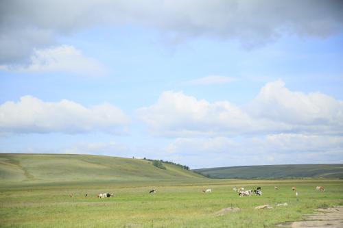 ����� �����