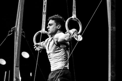 ���� ����������