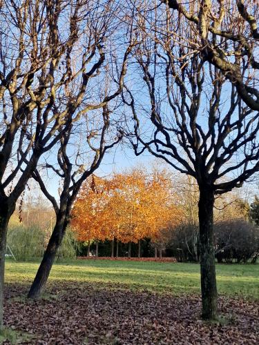 ������ � �������������