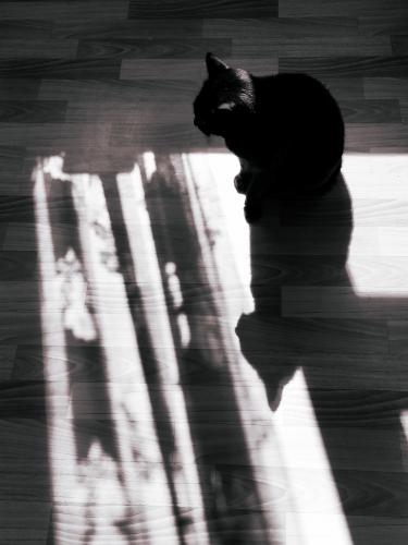 �����-����� �����