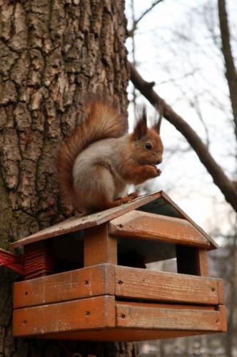 ���� � �����