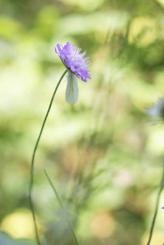 ������� ��������� � �����