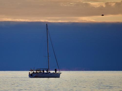 ����� ����