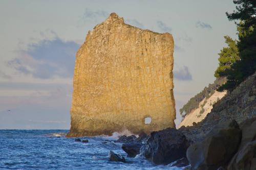 ����� �����