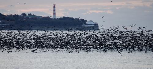 �������. ��������