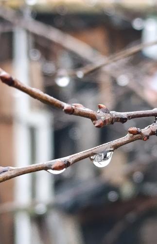 ������ �����