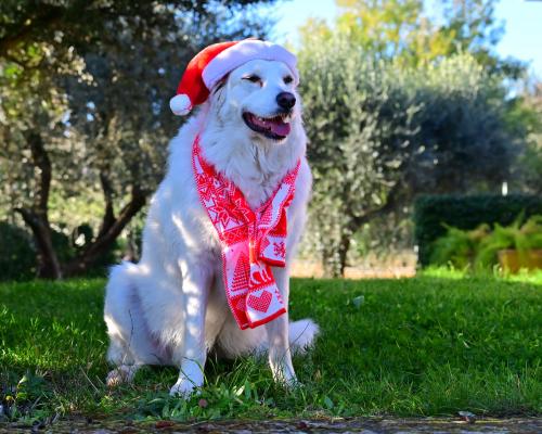 � ������� ������ ���� ������