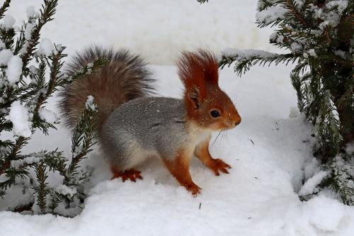 ���� ������.