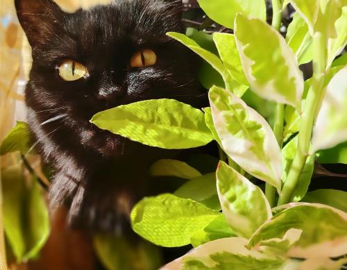 � ������