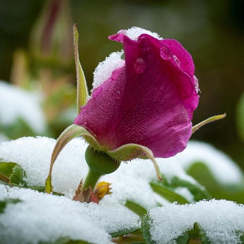 ����� ����...