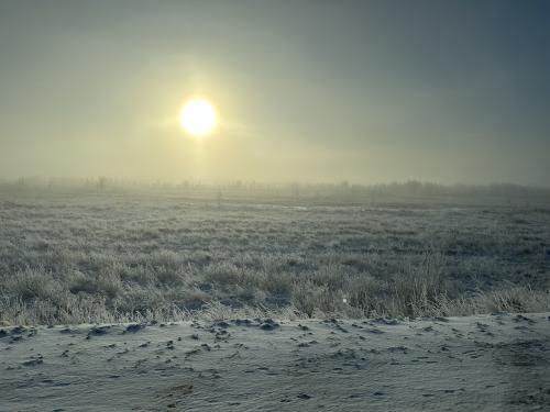 �������� ������