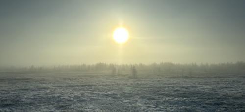 ���� �����