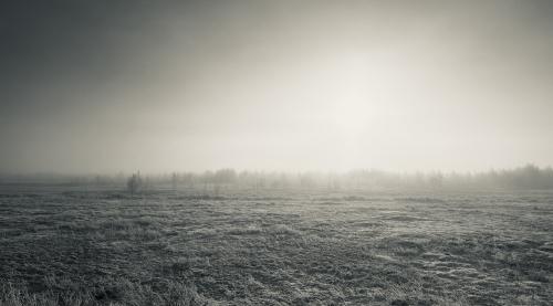 ������, � ������� ������ ������