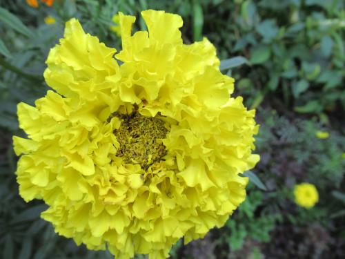 Ƹ���� ������� 