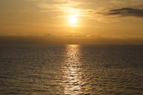 ������������ ����