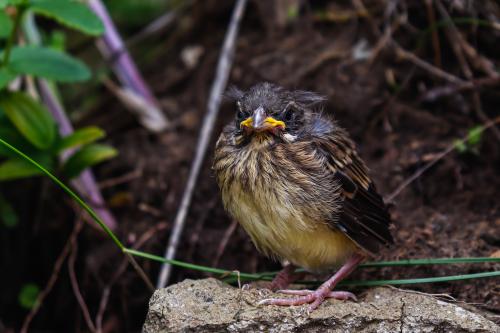 �������� � ����������...