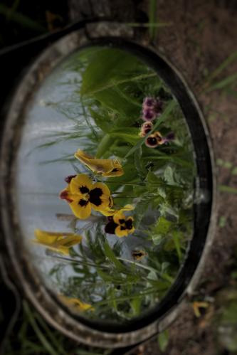 �� �� ������� 