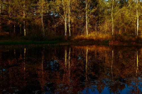 �������� ��������� �����