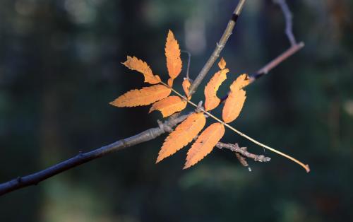 ���������....