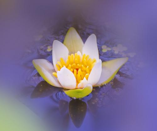 ������ ������ ��������