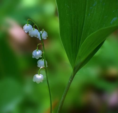 �������� � ������� ������