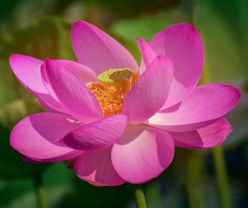 ��������� ������ �����