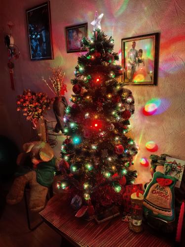 ���� �����