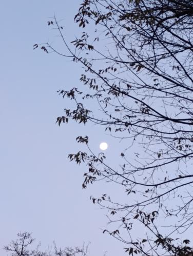 ����, ����