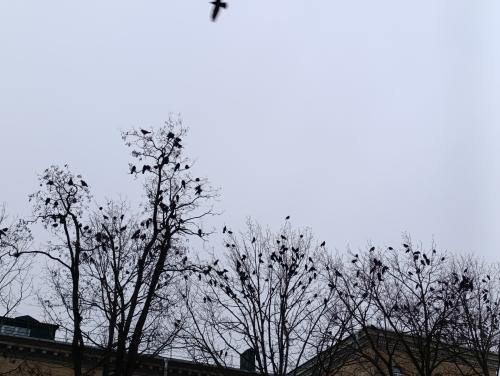 ���� �� ���