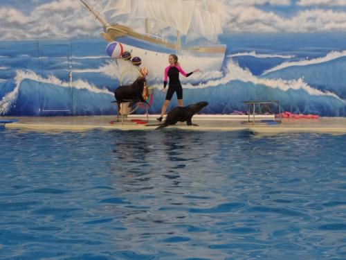 ��� ��� ���