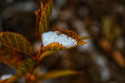 ���� � ����