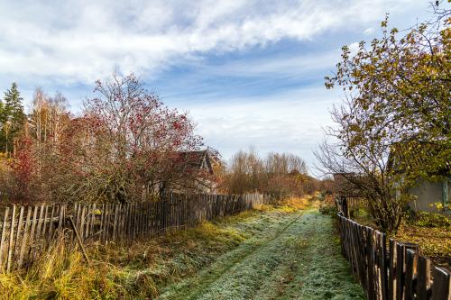 ������ �����